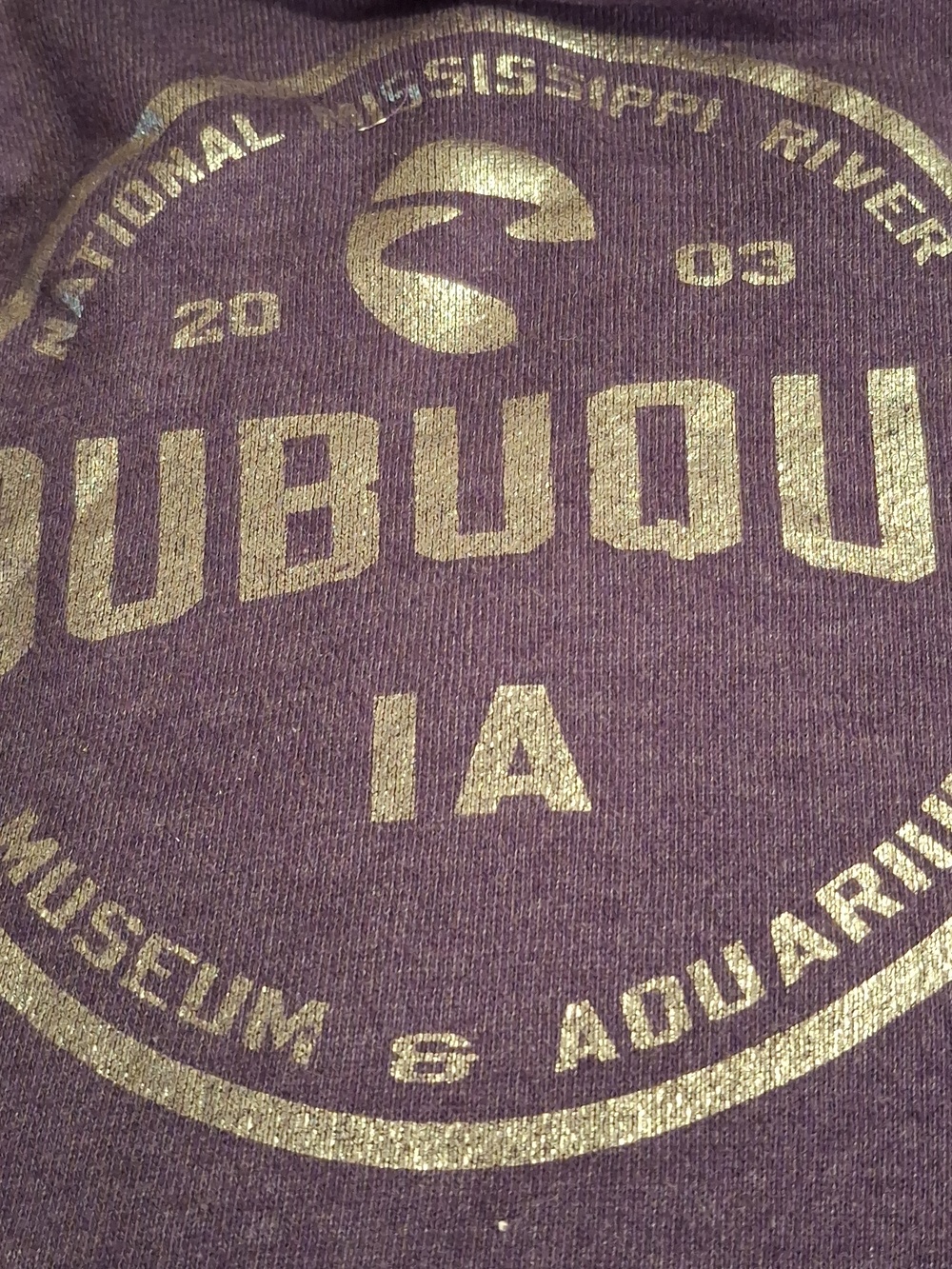 National Missisdippi River Museum Purple Hoodie. - Picture 3 of 5